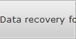 Data recovery for Bristol data